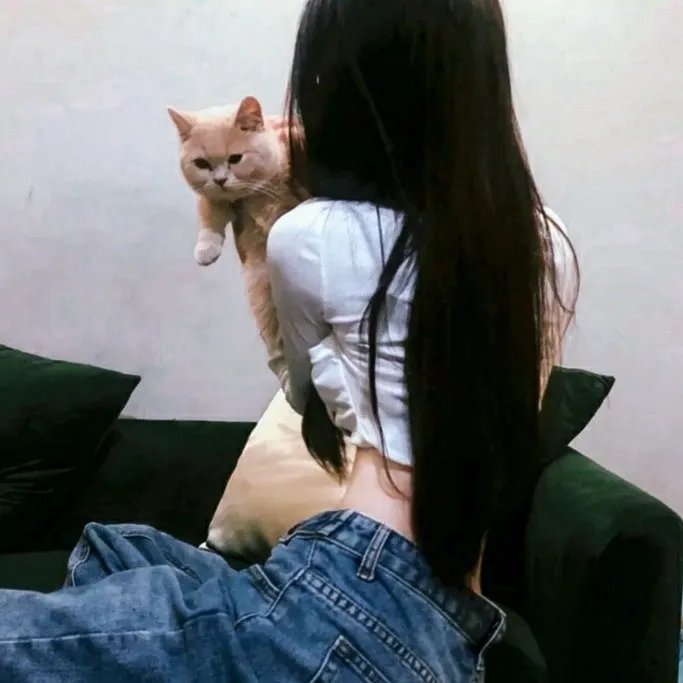 三个绑匪七条心