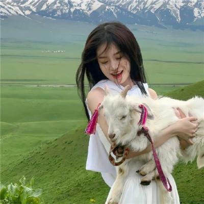 青春浪花