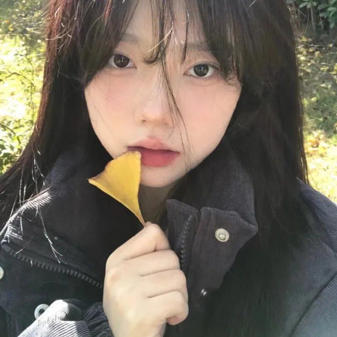 方法派